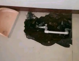 施秉卫生间测漏水多少钱